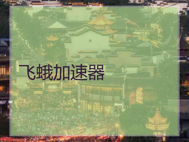 飞蛾加速器
